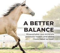 Daily Red Crushed Loose Minerals | Mineral Salt + Electrolyte Supplement for Horses (25LB Refill Bag)