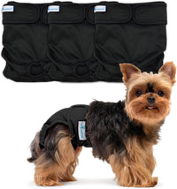 Paw Inspired Washable Dog Diapers, Assorted and White Lining - Black (Black Lining) / X-Small (3 ct.)