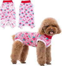 Dog recovery suit onesie for female dogs after spay surgery, sizes S to XL, patterned