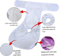 Teamoy Female Dog Diapers, Washable Doggie Period Diaper - XS (Pack of 4) / Flamingo+ Cloud+ Green+ Pink (4pcs) - image 3