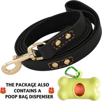 ADITYNA Leather Dog Leash for Large, and Small Dogs - L - 6 ft x 3/4 inch / Black - Gold Colored Clasp - image 4