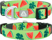 Medium Dog Collar, Neck 12"-20" - Large (Neck 16’’-25’’) / Watermelon