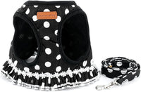 Step-in Dog Harness and Leash Set for Small Dogs - M / black - image 3