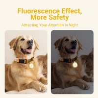 Pawaii Dog ID Tag, Silent Silicone QR Code Tag, Scan Alerts - Light Orange - image 2