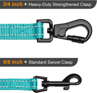 6FT Reflective Dog Leash for Small Medium Dogs, 5/8" Width - Teal / 3/4''x 6 FT - image 4