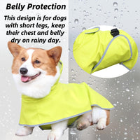 Dog Rain Jacket with Hood for Small Pet - Light Green / X-Small - image 3