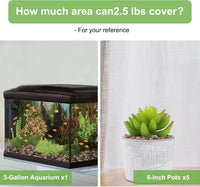 2.5 lbs Coarse Sand for Plants, Desert Silica Sand for Cactus - 5.0 Pounds / Colored - image 4