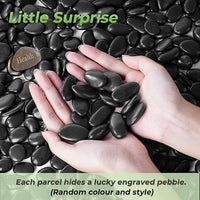 SIDONG 5 LB Black River Rocks, 0.4-1.2 Inches Highly Polished Pebbles for Indoor Plants, Decorative Stones for Plants, Fish Tank, Vases, Home Décor, Crafting, Garden Landscaping