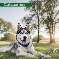 Dog Tie Out Cable and Stake,(up to 200lbs) 360° Swivel Dog Run Anchor -with 30FT Heavy Duty Cable,Runner for Yard-Dog Stake for Yard Outdoor Camping