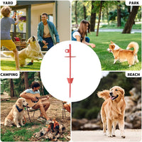 Dog tie-Out Stake for Dogs - Red - image 4