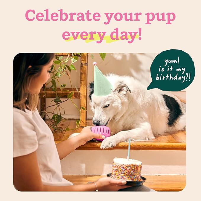 WOOF Party Pupsicle - Long-Lasting Interactive Dog Toys for Boredom - Low-Mess Design - Birthday Gifts for Dogs - Small Dog Toys - Party Pink