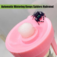 Jumping Spider Water Dispenser, Magnetic Hanging Feeder - Pink / 5ML - image 2