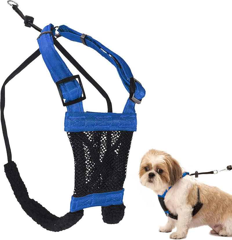 Sporn No Pull Dog Harness - Small / Blue