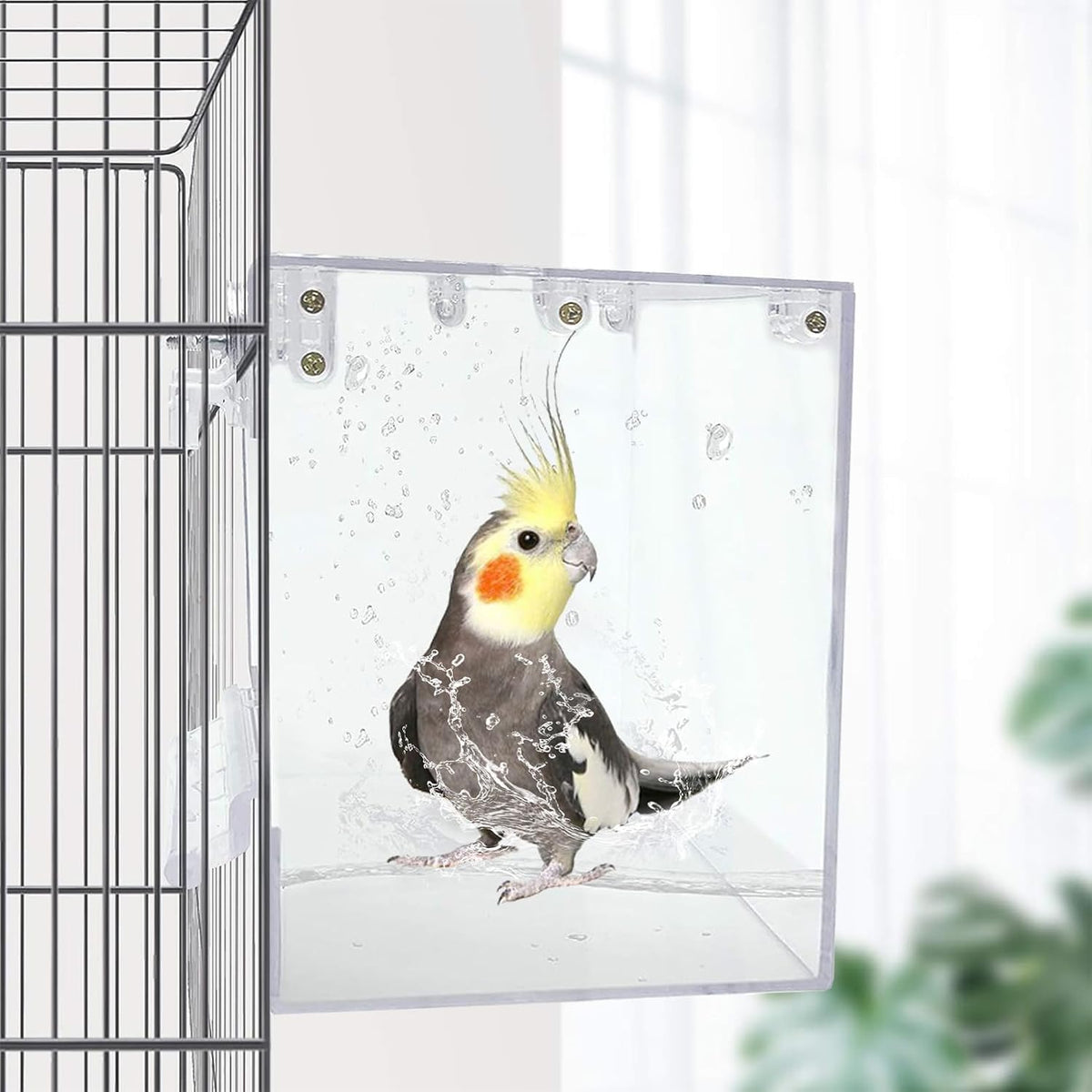 Acrylic Bird Cage Bath Box - 【1Pcs】 / 【White：1PcsType1】 - image 2
