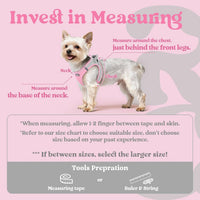 rabbitgoo Step-in Small Dog Harness - Light Pink & Gray / S(chest:15.1"-16.5") - image 2