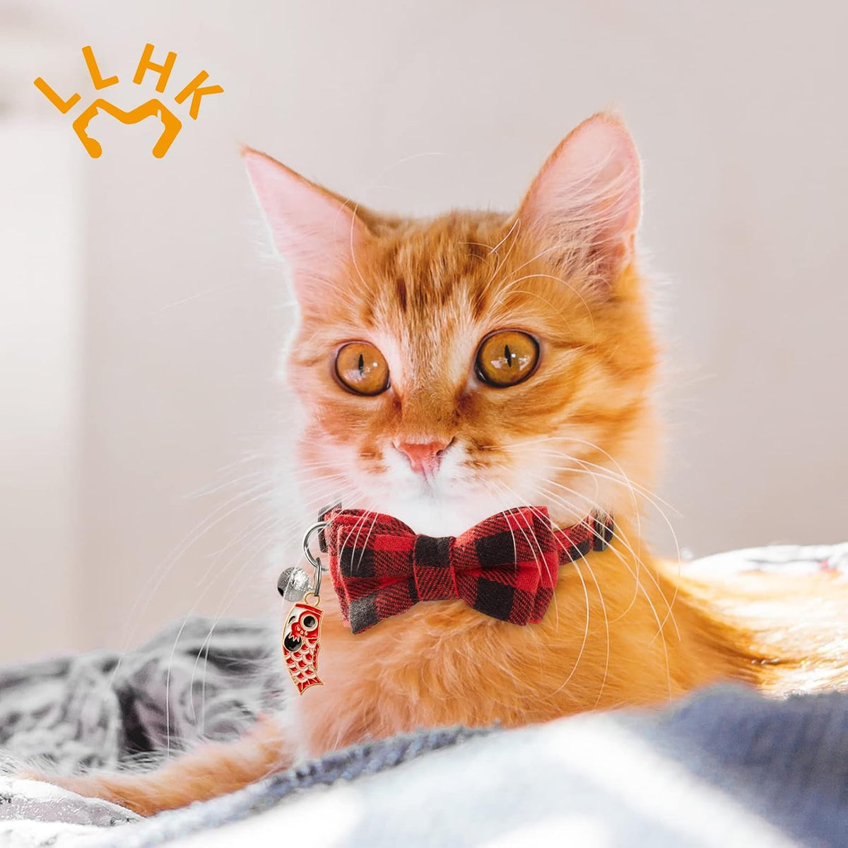 LLHK 4 Pack Halloween Cat Collar with Bow Tie and Bell - Plaid - image 2
