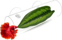 Small Acrylic Betta Hammock Tunnel, Betta Fish Tank Accessories – Essentials for Fish - L Size — 5.9" × 1.96" OD