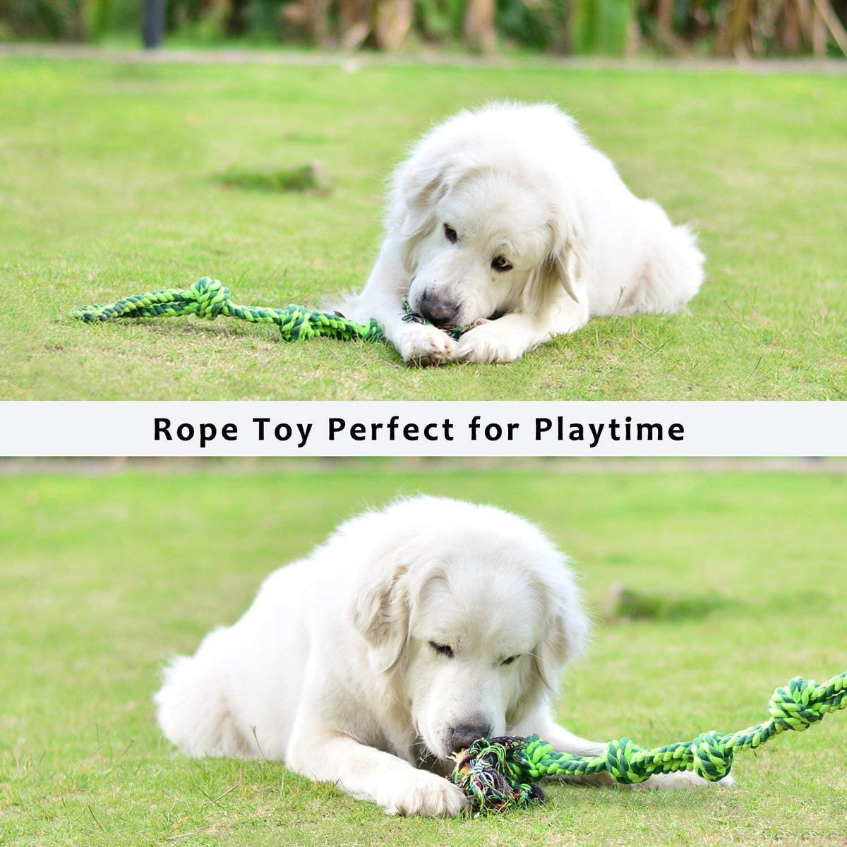 Dog Rope Toy for Large Dogs Heavy Duty Dog Chew Toys for Aggressive - 1 Pack / Large - image 4