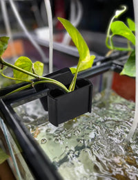 2 Pk Upgraded Aquarium Plant Holder - Black - image 4