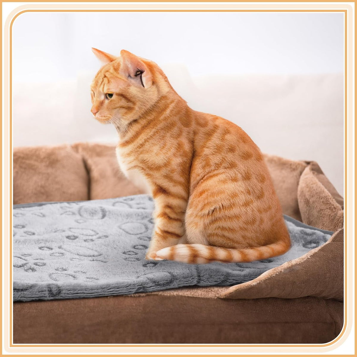 Tegeme 12 Pcs Puppy Blanket for Litter Dog Cat - Gray / 30 x 20 Inch - image 2