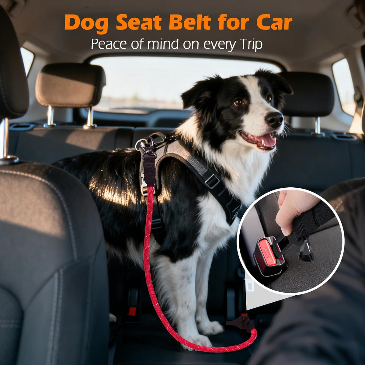 Dog Seat Belt for Car, Durable Rope Dog Car Harness for Vehicle – Essentials for Dogs - Red / 1 Pack - image 3