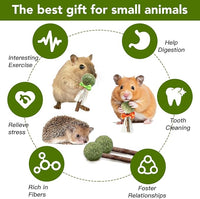 18-Pack Natural Alfalfa & Apple Wood Chew Lollipops for Small Pets - Healthy Dental Toys for Hamsters, Rabbits, Guinea Pigs, Chinchillas