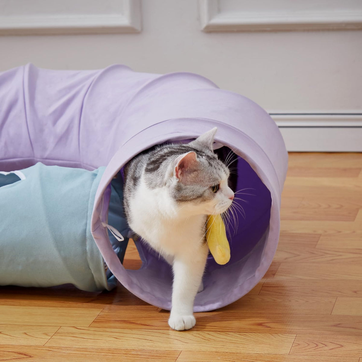 Cat Tunnel, Large Indoor Durable Collapsible Interactive Cat Tube with Peek-A-Boo Hole, Hanging - image 2