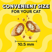 Temptations Classic Crunchy and Soft Cat Treats Tasty Chicken Flavor, 48 oz. Pouch