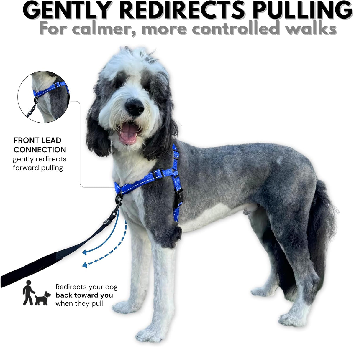 ShawnCo Dream Walk Pro No-Pull Dog Harness – Essentials for Dogs - Large / Electric Blue - image 2