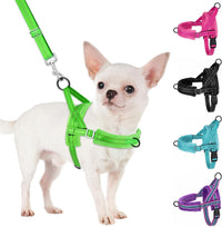 SlowTon No Pull Small Dog Harness and Leash Set with Front Clip – Essentials for Dogs - X-Small / Green