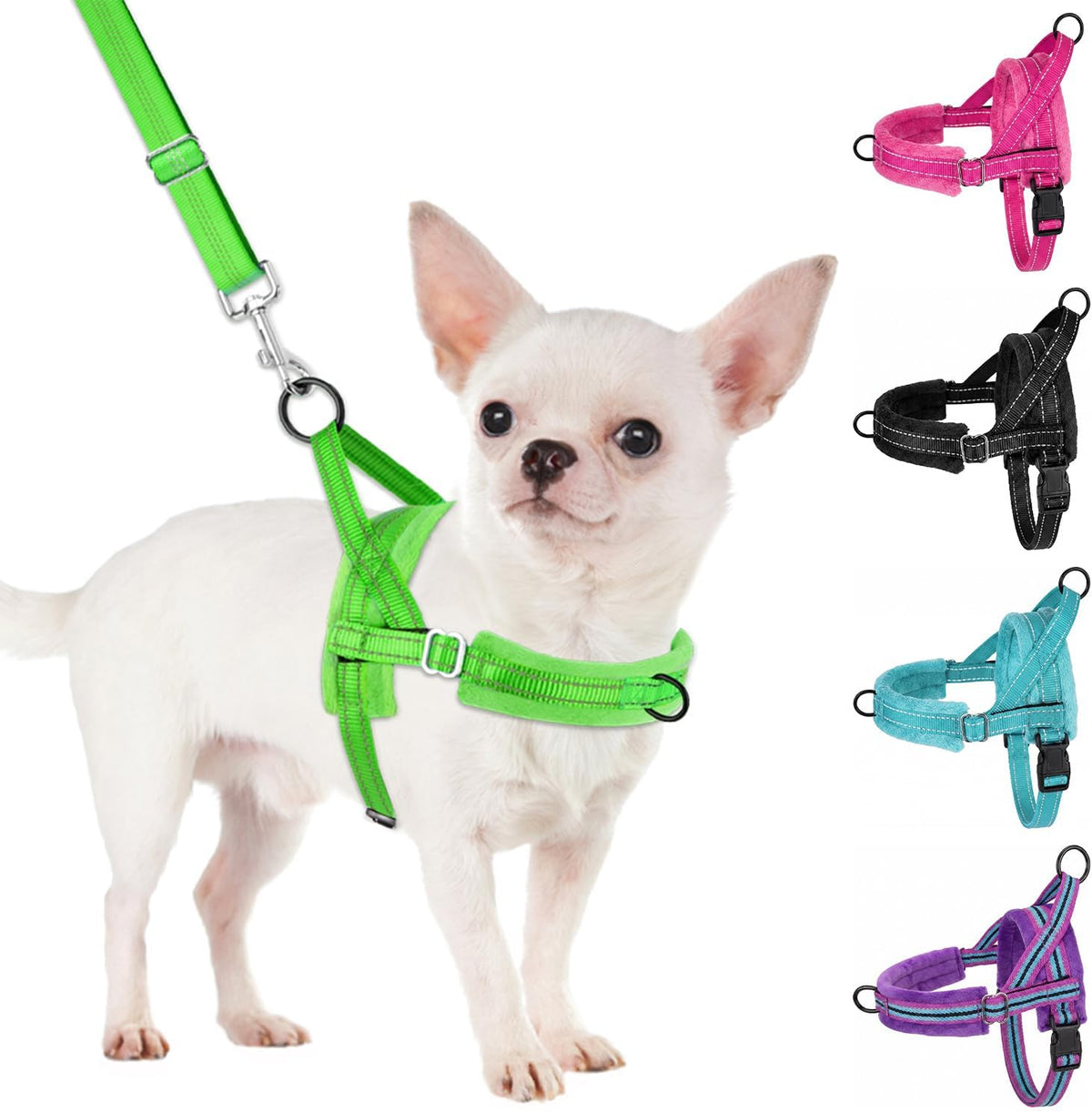 SlowTon No Pull Small Dog Harness and Leash Set with Front Clip – Essentials for Dogs - X-Small / Green