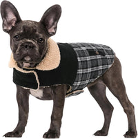 Dog Winter Coats for Small Dogs Puppies - Black / Large