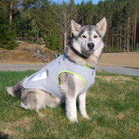 SGODA Dog Cooling Vest Harness Cooler Jacket Grey Green Large – Essentials for Dogs - Xx-large Chest 32.5-39.5" / grey with orange - image 2