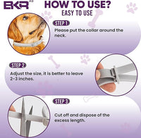 Flea Collar for Dogs – 2 Pack 16 Month Natural Flea & Tick Prevention Dog Flea Collar Adjustable One Size Fits All, Safe and Effective
