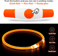 Led Dog Collar, BSEEN USB Rechargeable Flash Light up Dog Collar – Essentials for Dogs - Orange - image 2