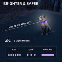 Super Bright LED Dog Collar, Waterproof Light up Collars – Essentials for Dogs - S (Width:0.6",Length:10" - 14.5") / Purple - image 4