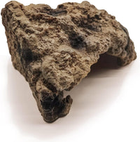 Reptile Hide Bearded Dragon Cave Hideouts Habitat Décor for Snake – Essentials for Reptiles And Amphibians - Large