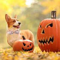 Green Dog Collar with Bow Tie, Christmas Bowtie Dog Collar M – Essentials for Dogs - XL / B-White Pumpkin - image 2
