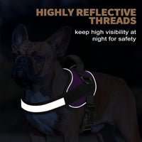 Haapaw Essential Dog Harness - M / Purple - image 4