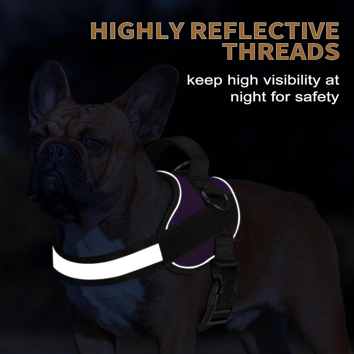 Haapaw Essential Dog Harness - M / Purple - image 4