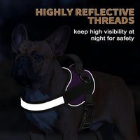 Haapaw Essential Dog Harness, No Pull Pet Vest with 3 Leash Clips, No Choke, Reflective, Adjustable and Padded, for Easy Walking and Training for Medium Dogs(M, Purple)