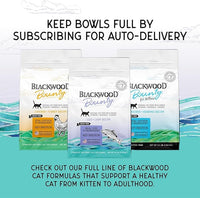 Blackwood Bounty Dry Cat Food, Cod & Carp Recipe for All Life Stages, 10 Pound Bag, High Protein, Grain Free