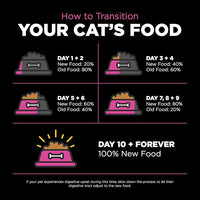 Go! Solutions Skin + Coat Care, Dry Cat Food, Chicken Recipe with Grains, 8 lb Bag