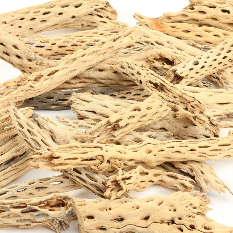 Koyal Wholesale Natural Cholla Wood Aquarium Branches - 2lb Bag