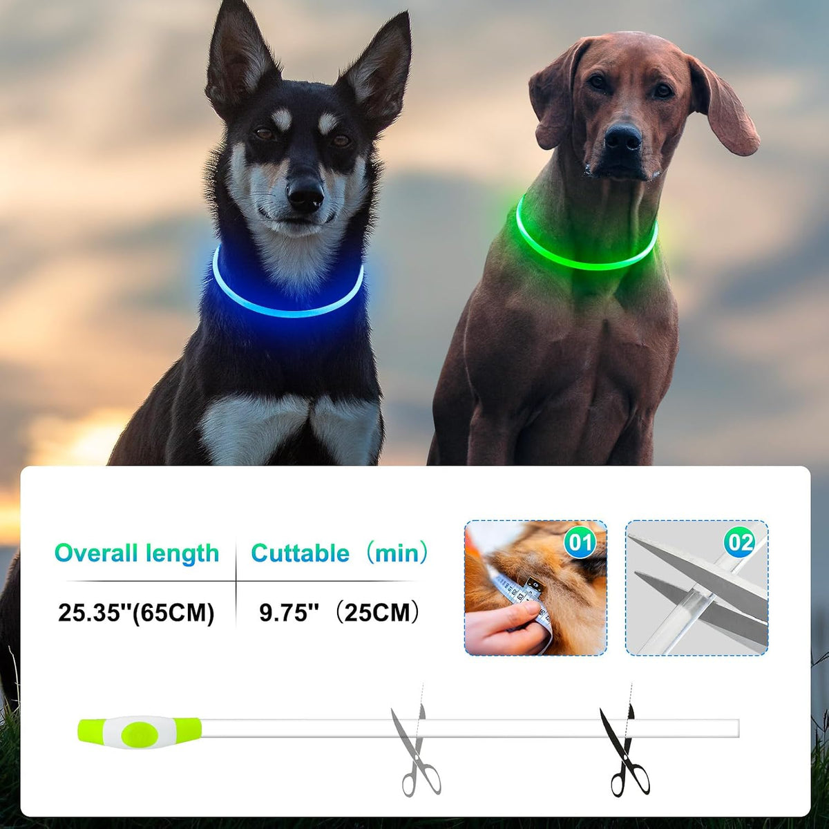2 Packs Light Up Dog Collar - Green+Blue - image 4