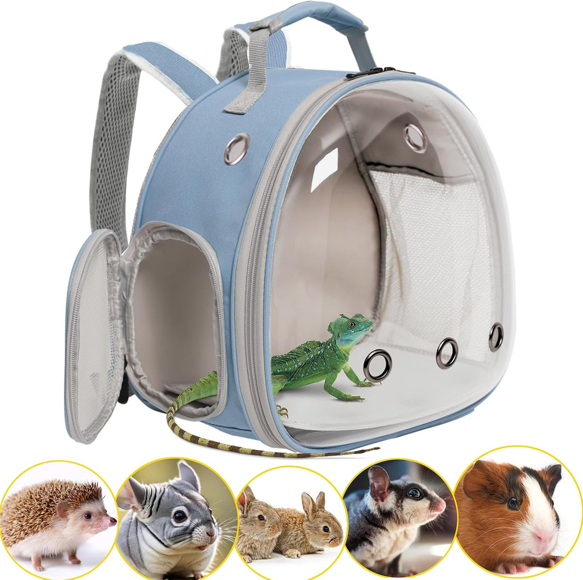Bearded Dragon Travel Carrier, Lizards Carrier - Blue / Backpack
