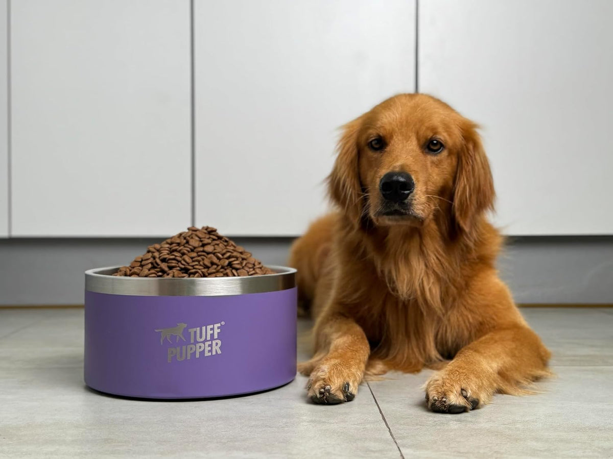 Tuff Pupper 100 oz Heavy Duty Insulated Stainless Steel Dog Bowl - 188oz / Royal Purple - image 2