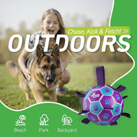 QDAN Dog Balls, Herding Balls for Dogs - Purple-Blue / Extra Large Size 5 (9 Inch) - image 3
