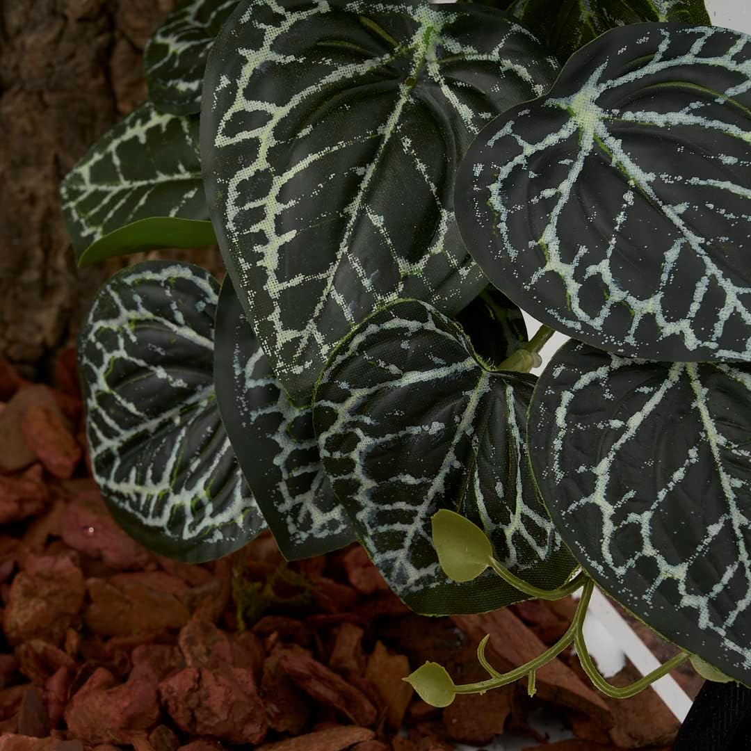 2Pack Reptile Plants for Terrarium - D-fake Anthurium Crystallinum - image 4