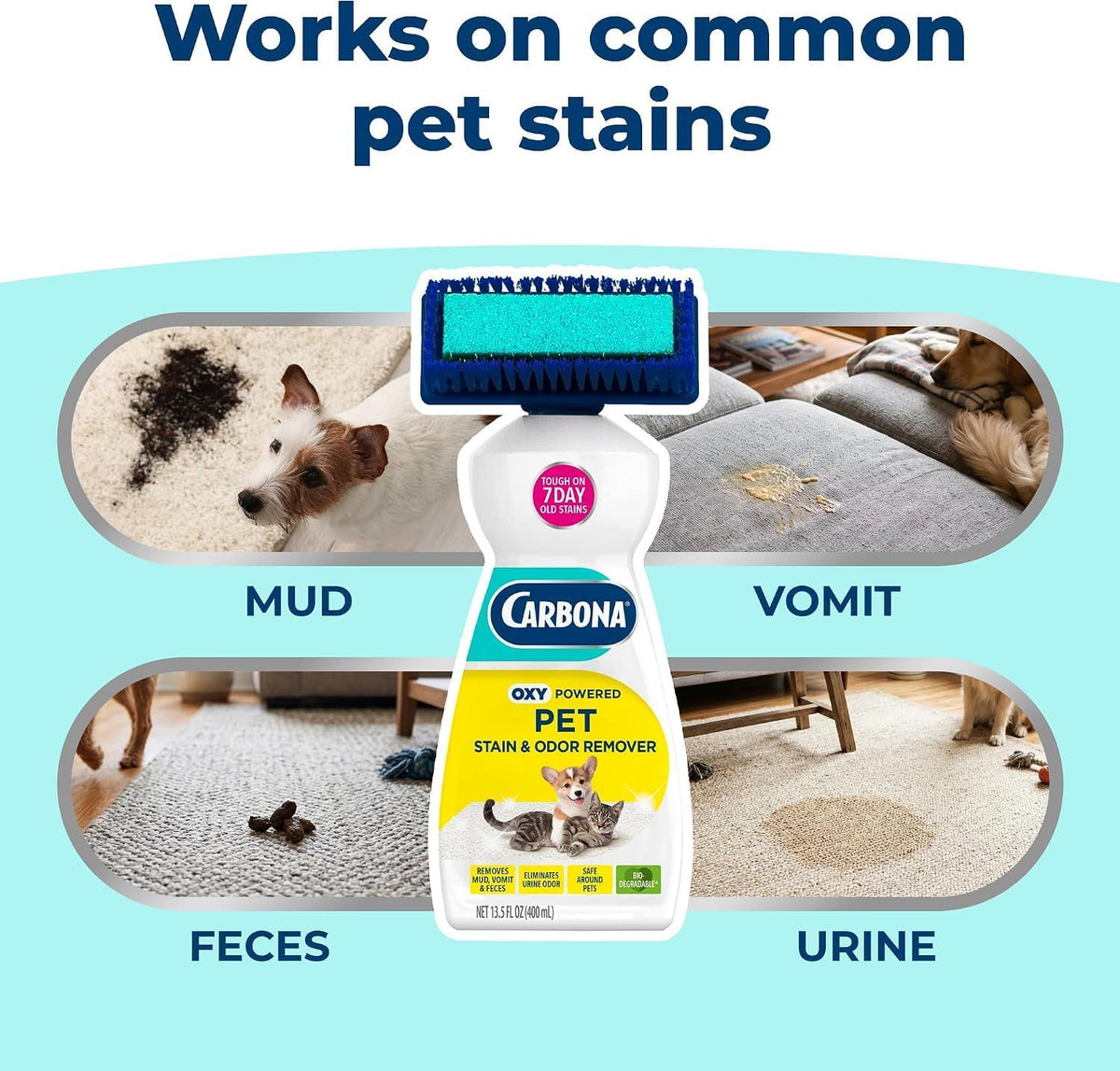 Carbona Oxy-Powered Pet Stain & Odor Remover, Targets Urine - 13.5 Fl Oz (Pack of 3) - image 4